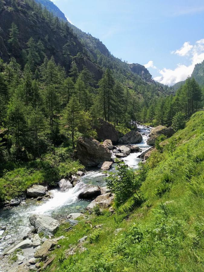 فيلا Chez Bonjour Villar Pellice المظهر الخارجي الصورة