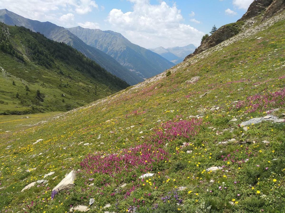 فيلا Chez Bonjour Villar Pellice المظهر الخارجي الصورة